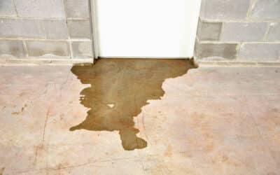 Protect Your Home: How to Detect a Water Leak Fast